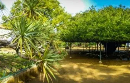 Brigth River Tejo View Flat With 2 Suites